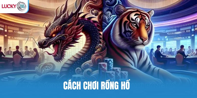 Cách chơi Rồng Hổ không rối: Luật gọn, nhịp nhanh, dễ theo